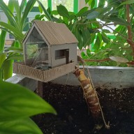 Tinyhousing im Baum